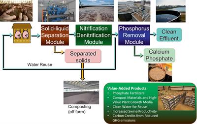 From pollution to resource: advancing swine waste treatment in the USA